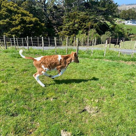 Pukeatua Farmstay Waimauku Екстер'єр фото