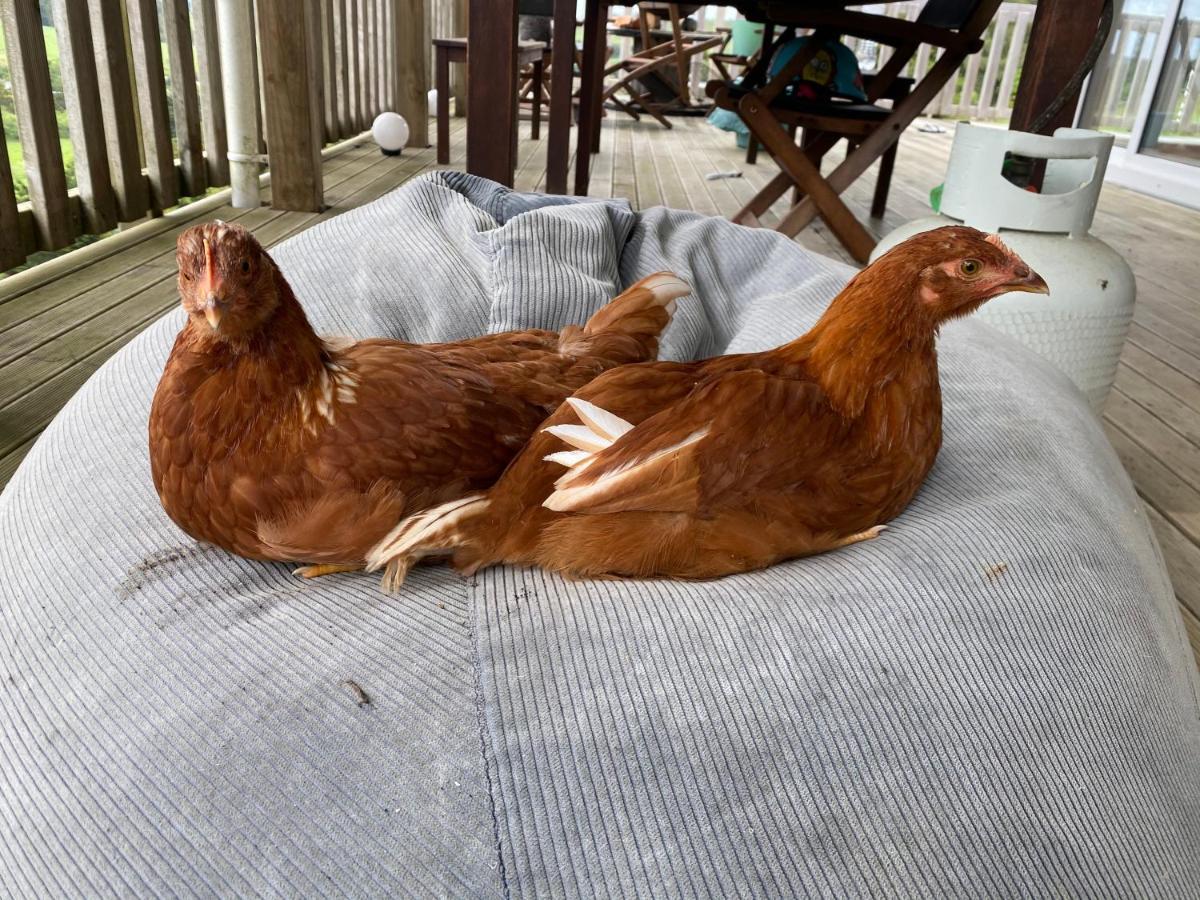 Pukeatua Farmstay Waimauku Екстер'єр фото