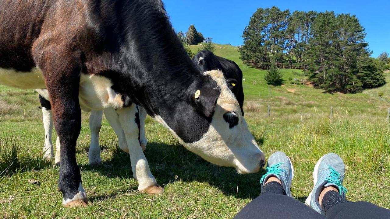 Pukeatua Farmstay Waimauku Екстер'єр фото