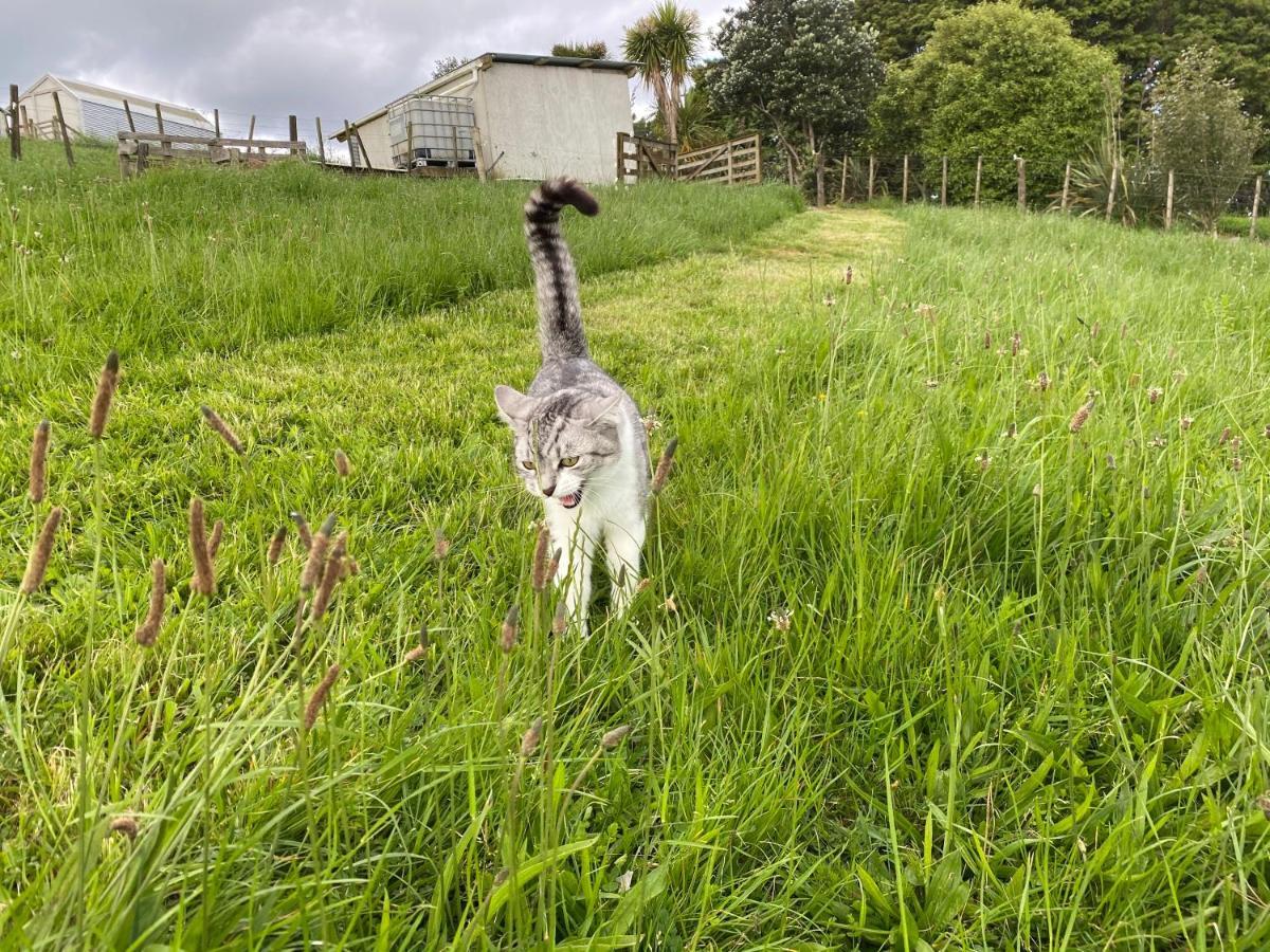 Pukeatua Farmstay Waimauku Екстер'єр фото