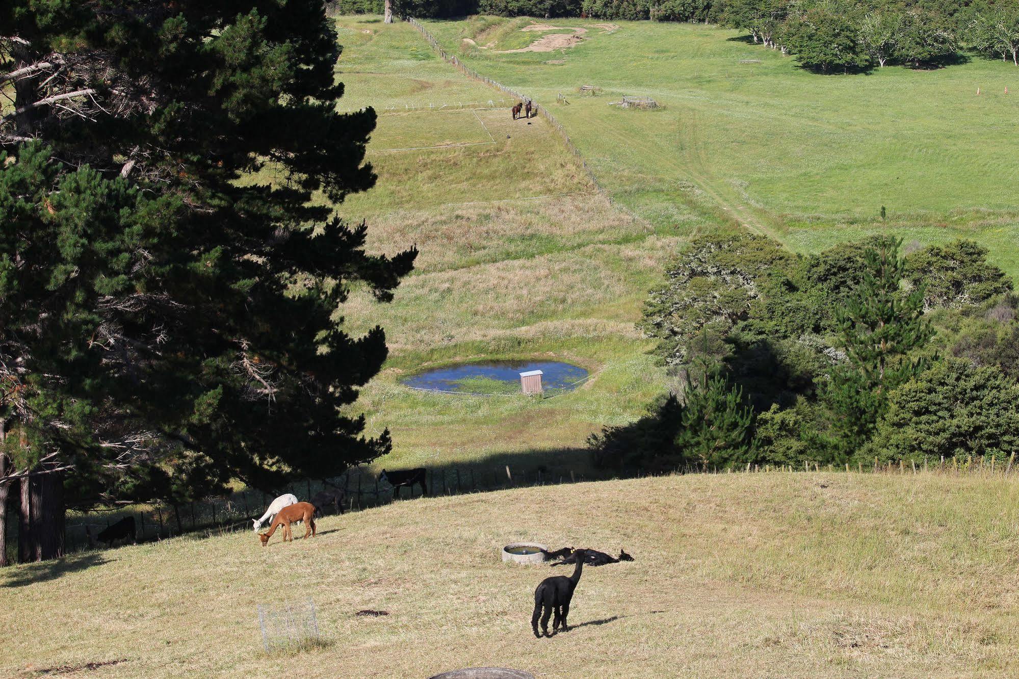 Pukeatua Farmstay Waimauku Екстер'єр фото