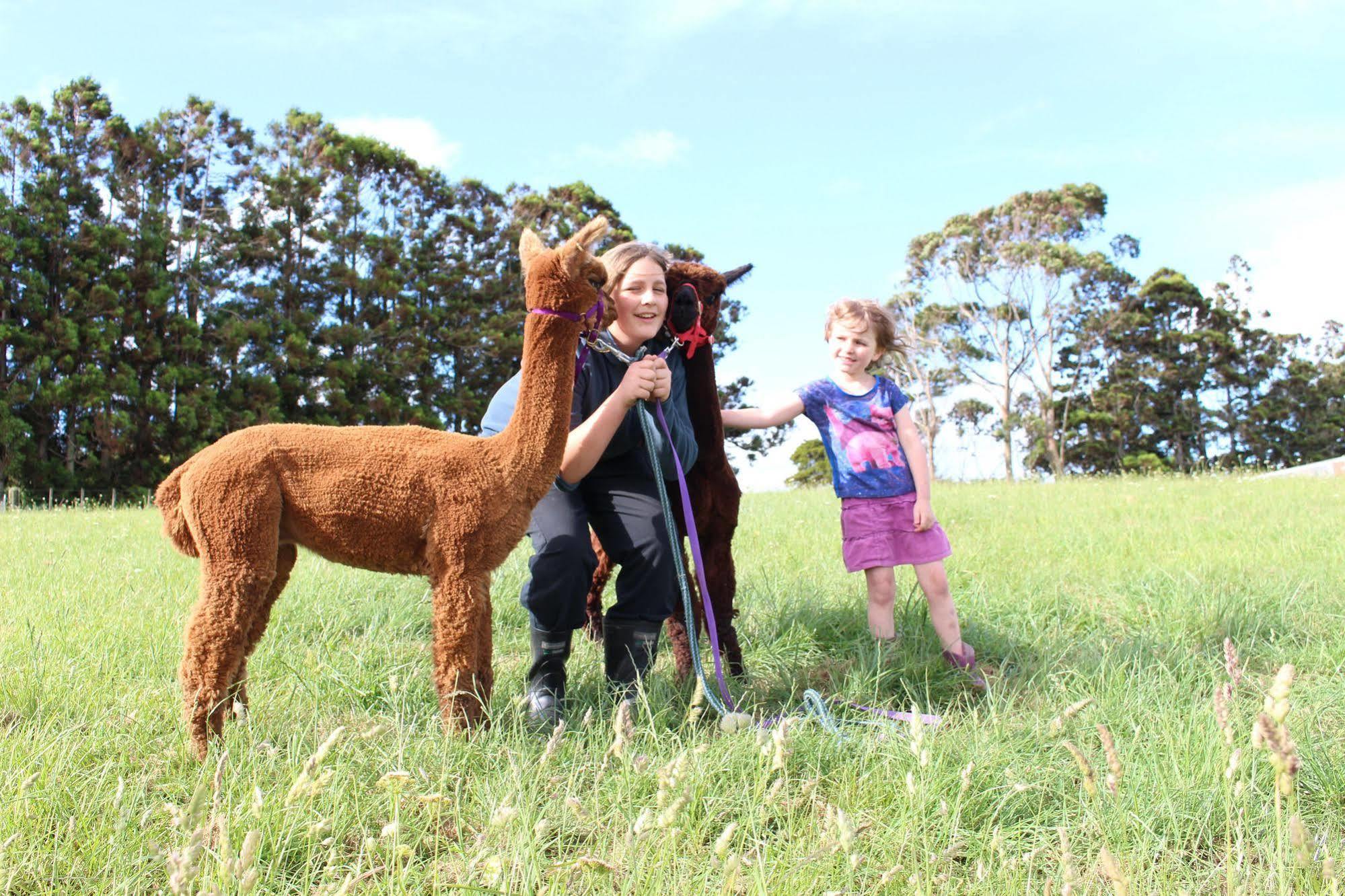 Pukeatua Farmstay Waimauku Екстер'єр фото